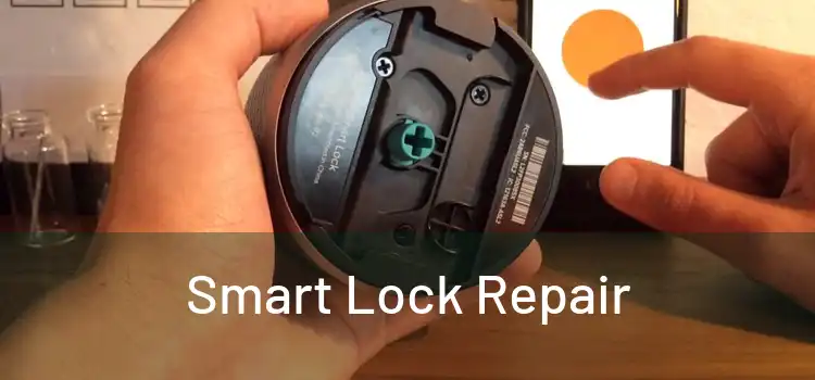 Smart Lock Repair